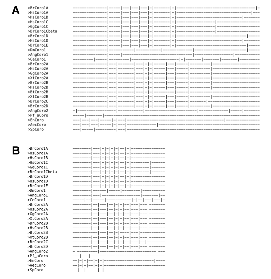 results 2