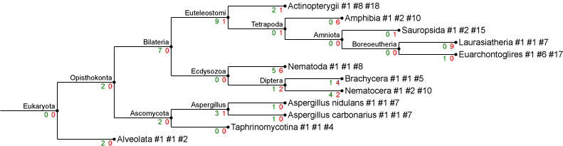 results 9